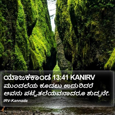 ಯಾಜಕಕಾಂಡ 13:41 KANIRV Bible Verse Image