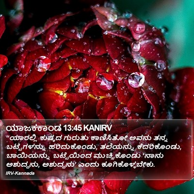 ಯಾಜಕಕಾಂಡ 13:45 KANIRV Bible Verse Image