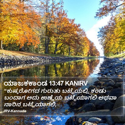 ಯಾಜಕಕಾಂಡ 13:47 KANIRV Bible Verse Image