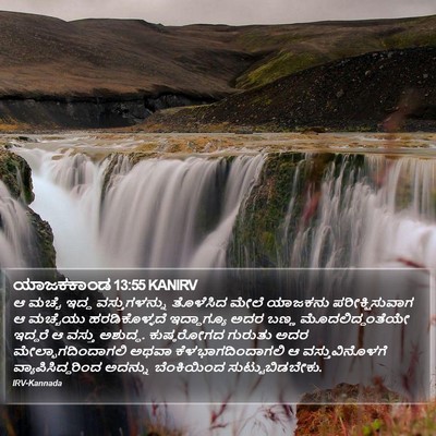 ಯಾಜಕಕಾಂಡ 13:55 KANIRV Bible Verse Image
