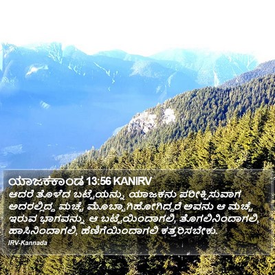 ಯಾಜಕಕಾಂಡ 13:56 KANIRV Bible Verse Image