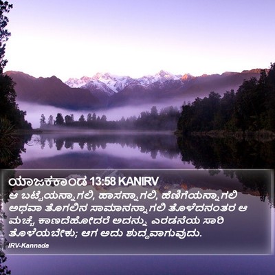 ಯಾಜಕಕಾಂಡ 13:58 KANIRV Bible Verse Image