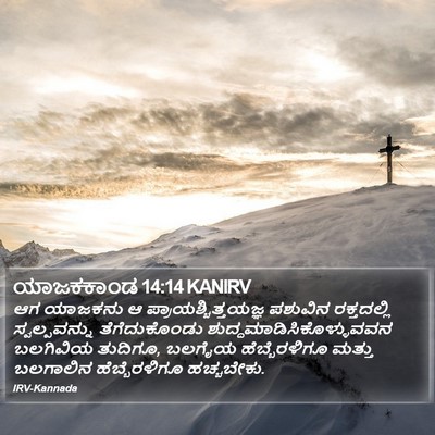 ಯಾಜಕಕಾಂಡ 14:14 KANIRV Bible Verse Image