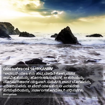 ಯಾಜಕಕಾಂಡ 14:19 KANIRV Bible Verse Image