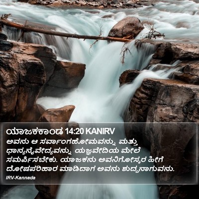 ಯಾಜಕಕಾಂಡ 14:20 KANIRV Bible Verse Image