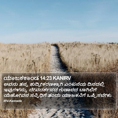 ಯಾಜಕಕಾಂಡ 14:23 KANIRV Bible Verse Image