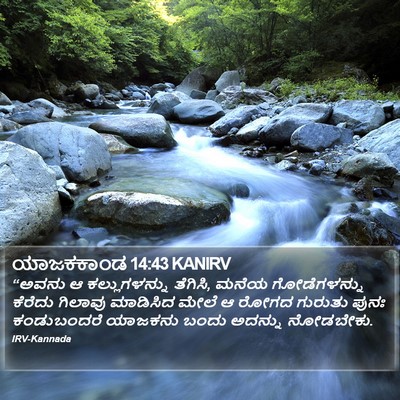 ಯಾಜಕಕಾಂಡ 14:43 KANIRV Bible Verse Image