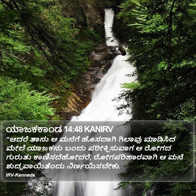 ಯಾಜಕಕಾಂಡ 14:48 KANIRV Bible Verse Image