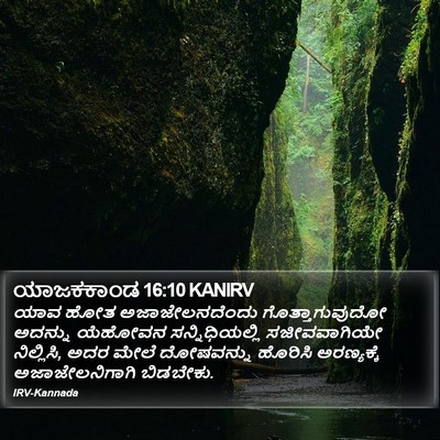ಯಾಜಕಕಾಂಡ 16:10 KANIRV Bible Verse Image