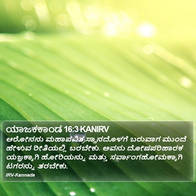 ಯಾಜಕಕಾಂಡ 16:3 KANIRV Bible Verse Image