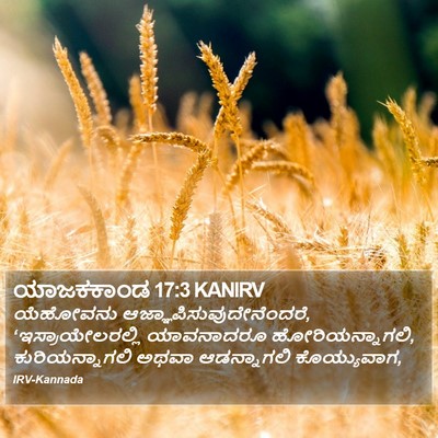 ಯಾಜಕಕಾಂಡ 17:3 KANIRV Bible Verse Image