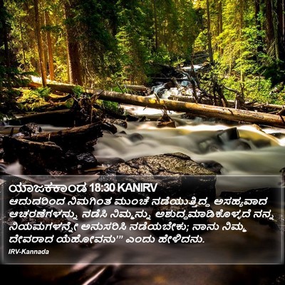 ಯಾಜಕಕಾಂಡ 18:30 KANIRV Bible Verse Image