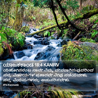 ಯಾಜಕಕಾಂಡ 18:4 KANIRV Bible Verse Image