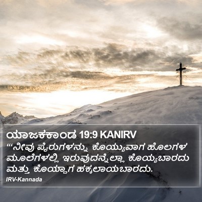 ಯಾಜಕಕಾಂಡ 19:9 KANIRV Bible Verse Image