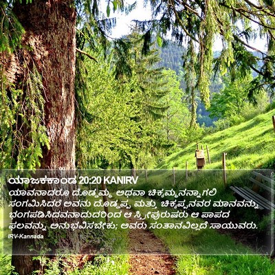 ಯಾಜಕಕಾಂಡ 20:20 KANIRV Bible Verse Image