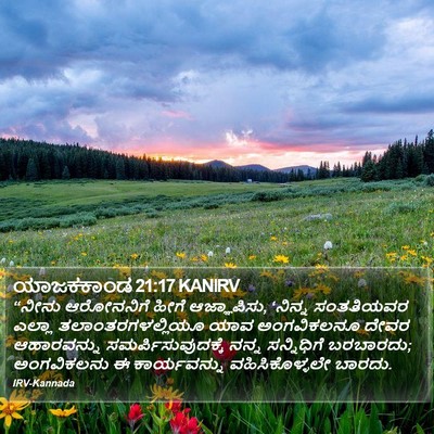 ಯಾಜಕಕಾಂಡ 21:17 KANIRV Bible Verse Image