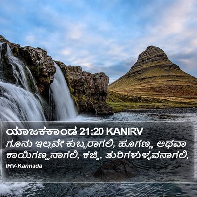 ಯಾಜಕಕಾಂಡ 21:20 KANIRV Bible Verse Image