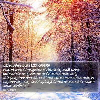 ಯಾಜಕಕಾಂಡ 21:23 KANIRV Bible Verse Image
