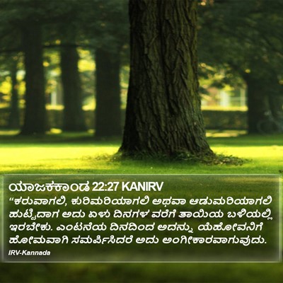 ಯಾಜಕಕಾಂಡ 22:27 KANIRV Bible Verse Image
