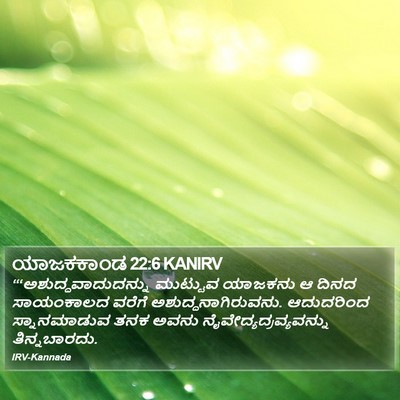 ಯಾಜಕಕಾಂಡ 22:6 KANIRV Bible Verse Image