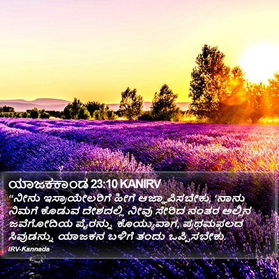 ಯಾಜಕಕಾಂಡ 23:10 KANIRV Bible Verse Image