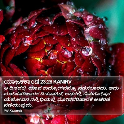 ಯಾಜಕಕಾಂಡ 23:28 KANIRV Bible Verse Image