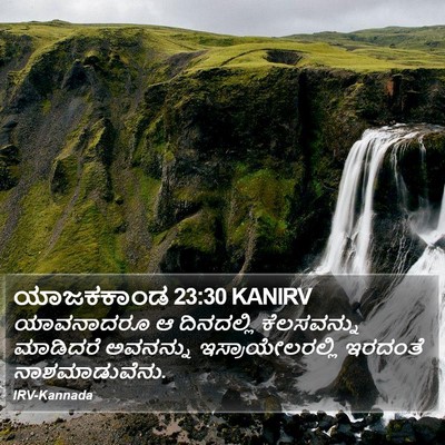ಯಾಜಕಕಾಂಡ 23:30 KANIRV Bible Verse Image