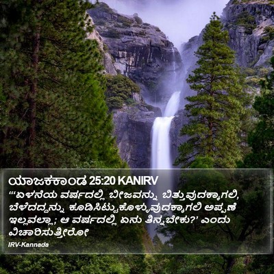 ಯಾಜಕಕಾಂಡ 25:20 KANIRV Bible Verse Image