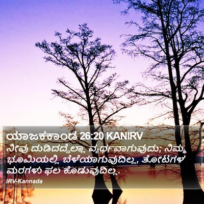 ಯಾಜಕಕಾಂಡ 26:20 KANIRV Bible Verse Image