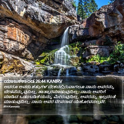 ಯಾಜಕಕಾಂಡ 26:44 KANIRV Bible Verse Image