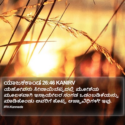 ಯಾಜಕಕಾಂಡ 26:46 KANIRV Bible Verse Image