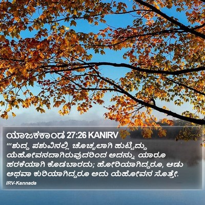 ಯಾಜಕಕಾಂಡ 27:26 KANIRV Bible Verse Image