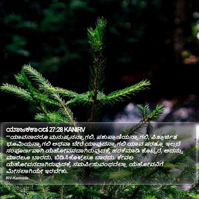 ಯಾಜಕಕಾಂಡ 27:28 KANIRV Bible Verse Image
