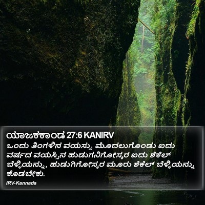 ಯಾಜಕಕಾಂಡ 27:6 KANIRV Bible Verse Image