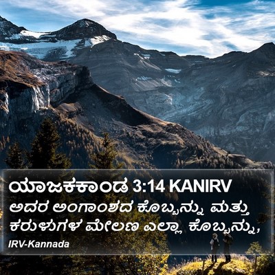 ಯಾಜಕಕಾಂಡ 3:14 KANIRV Bible Verse Image