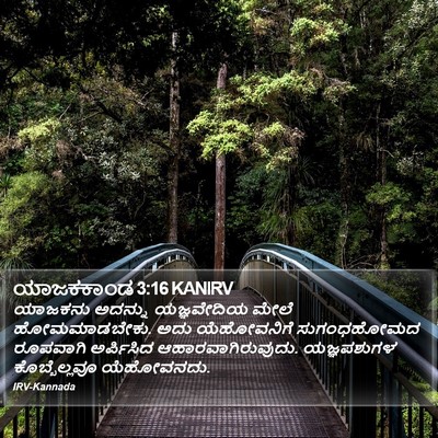 ಯಾಜಕಕಾಂಡ 3:16 KANIRV Bible Verse Image