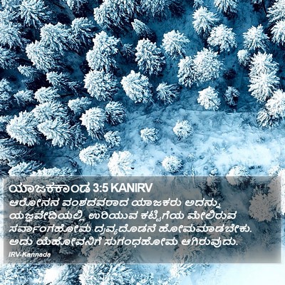ಯಾಜಕಕಾಂಡ 3:5 KANIRV Bible Verse Image