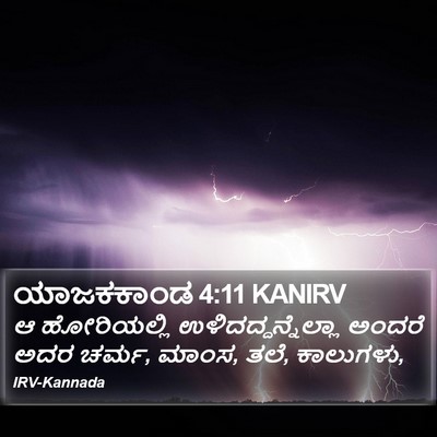 ಯಾಜಕಕಾಂಡ 4:11 KANIRV Bible Verse Image
