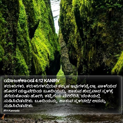 ಯಾಜಕಕಾಂಡ 4:12 KANIRV Bible Verse Image