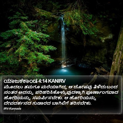 ಯಾಜಕಕಾಂಡ 4:14 KANIRV Bible Verse Image