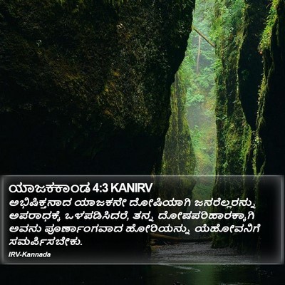 ಯಾಜಕಕಾಂಡ 4:3 KANIRV Bible Verse Image