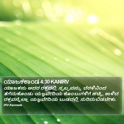ಯಾಜಕಕಾಂಡ 4:30 KANIRV Bible Verse Image