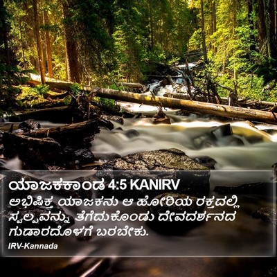 ಯಾಜಕಕಾಂಡ 4:5 KANIRV Bible Verse Image