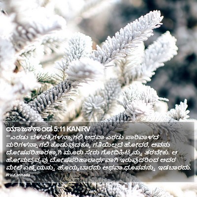 ಯಾಜಕಕಾಂಡ 5:11 KANIRV Bible Verse Image
