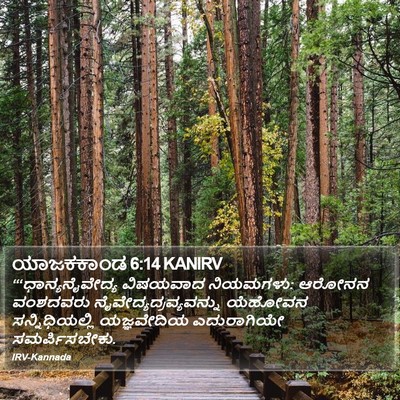 ಯಾಜಕಕಾಂಡ 6:14 KANIRV Bible Verse Image