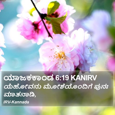 ಯಾಜಕಕಾಂಡ 6:19 KANIRV Bible Verse Image