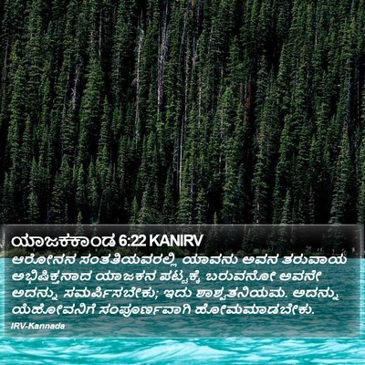 ಯಾಜಕಕಾಂಡ 6:22 KANIRV Bible Verse Image