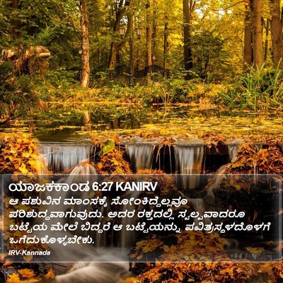 ಯಾಜಕಕಾಂಡ 6:27 KANIRV Bible Verse Image