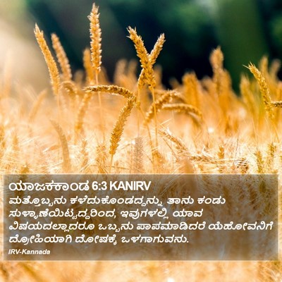 ಯಾಜಕಕಾಂಡ 6:3 KANIRV Bible Verse Image