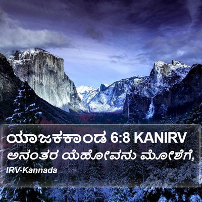 ಯಾಜಕಕಾಂಡ 6:8 KANIRV Bible Verse Image
